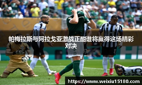 bwin必赢帕梅拉斯与阿拉戈亚激战正酣谁将赢得这场精彩对决